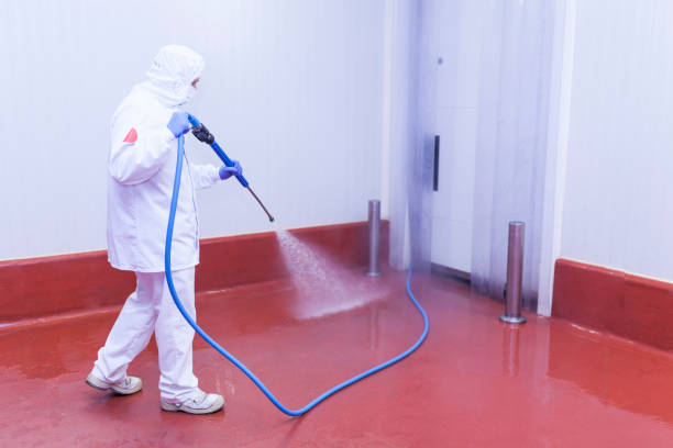 Best Oil Spill Cleanup  in New Bern, NC
