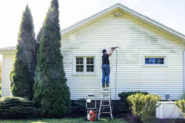 Professional  Pressure Washing Services in New Bern, NC